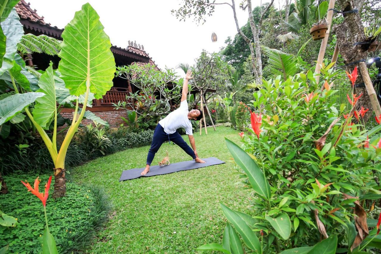 Villa Be Bali Hut Farm Stay Ubud  Ngoại thất bức ảnh